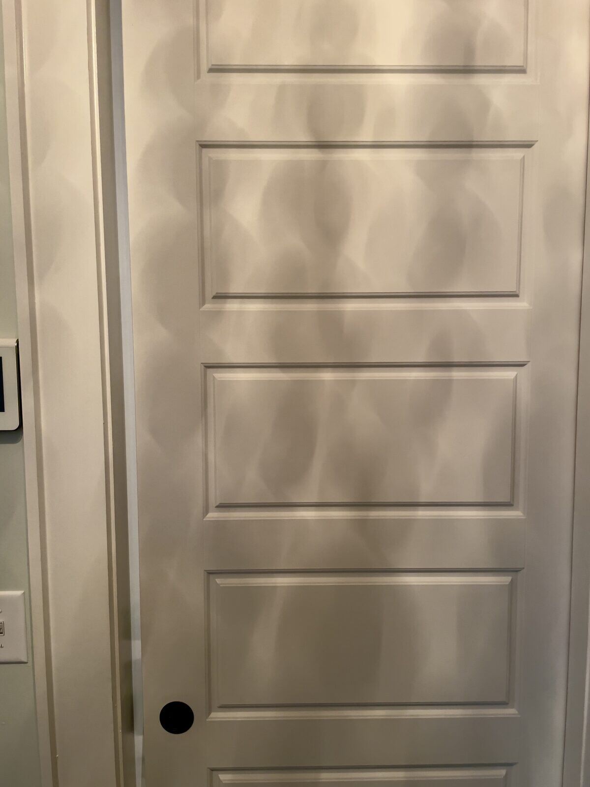 Crisp white painted interior paneled door and door casing.
